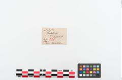 Etiketten zu Perlenkette (NHMW-PRAE-024354)